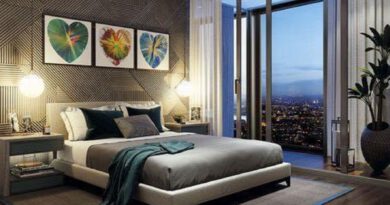 Interior Desgining & Decoration Interior Desgining & Decoration